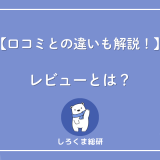レビューとは