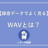 WAVとは？